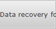 Data recovery for Socastee data